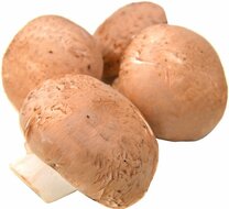 biologische-champignons-kastanje